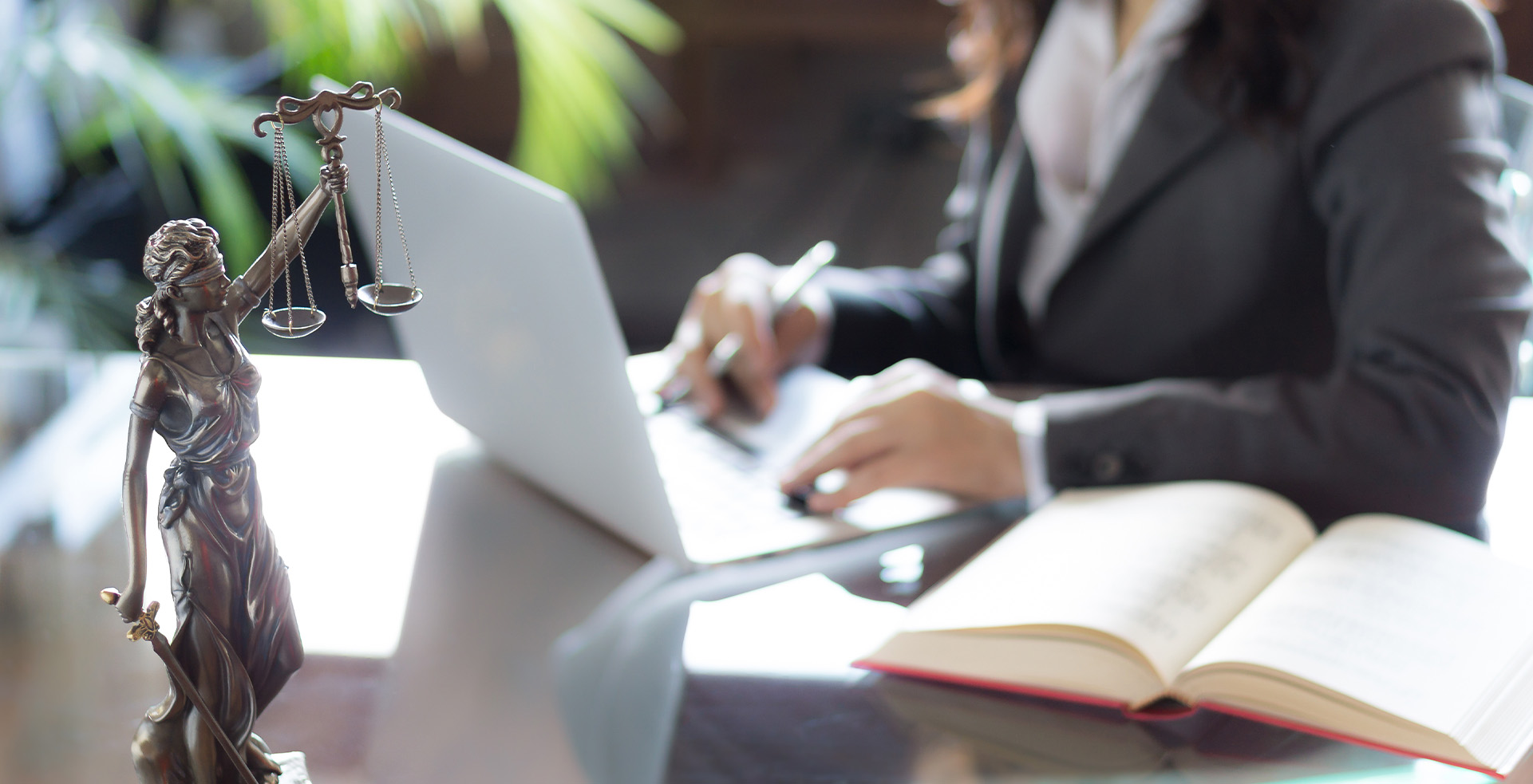 Squatter Eviction – Eviction Attendance and Coordination Service